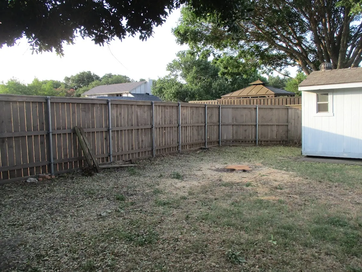 Cleared yard after professional tree removal in Byron
